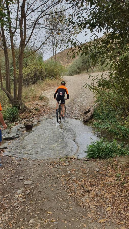 La Colina Ladyblue Apto Acogedor Cerca De Sierra Nevada Y Alhambra Cenes De La Vega Eksteriør billede