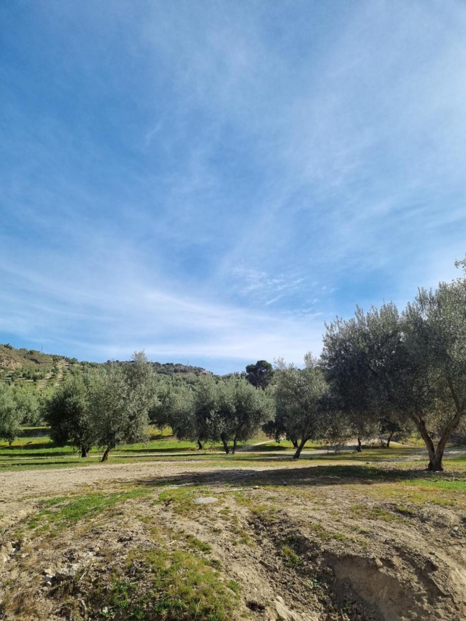 La Colina Ladyblue Apto Acogedor Cerca De Sierra Nevada Y Alhambra Lejlighed Cenes De La Vega Eksteriør billede