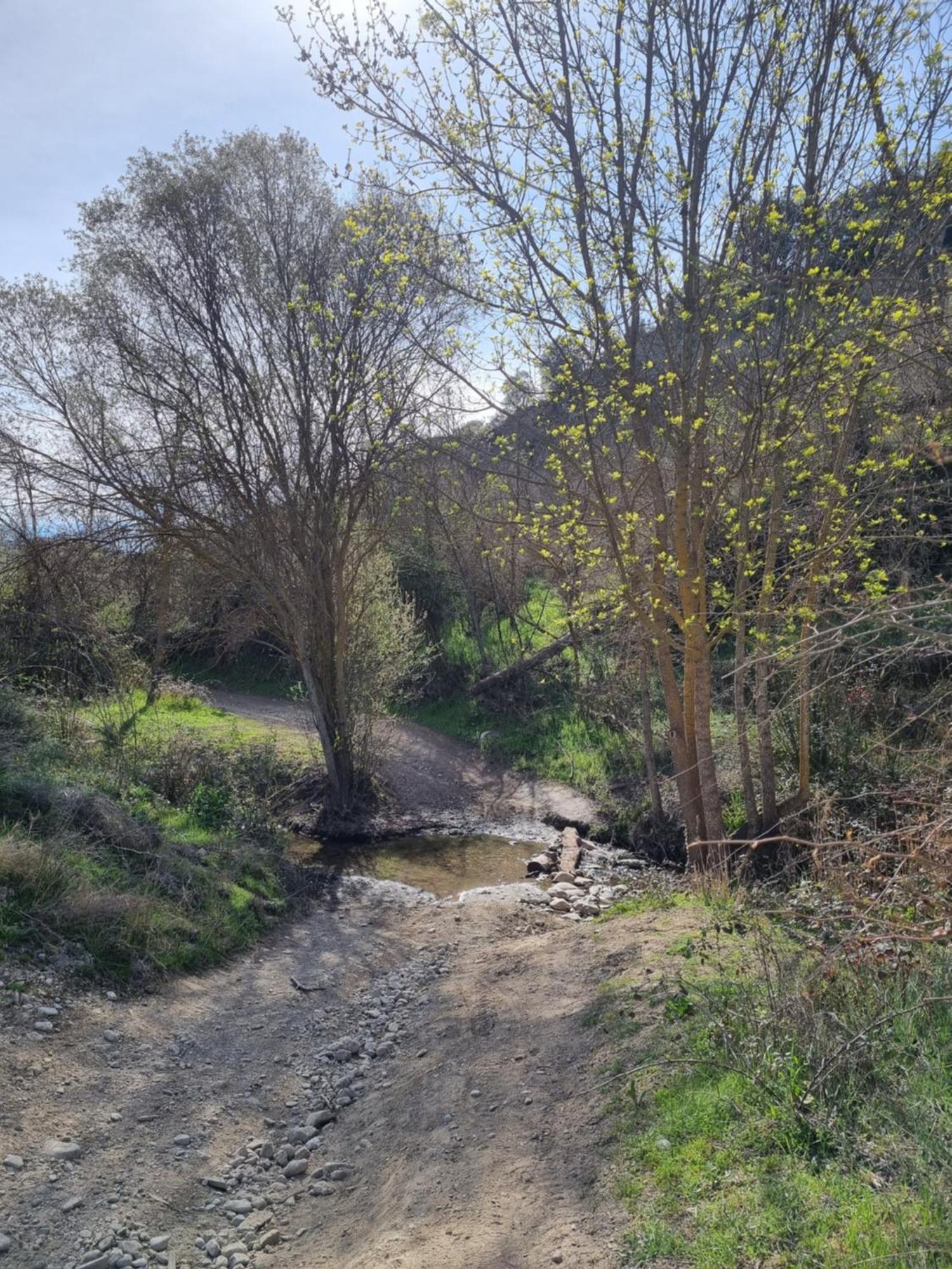 La Colina Ladyblue Apto Acogedor Cerca De Sierra Nevada Y Alhambra Lejlighed Cenes De La Vega Eksteriør billede