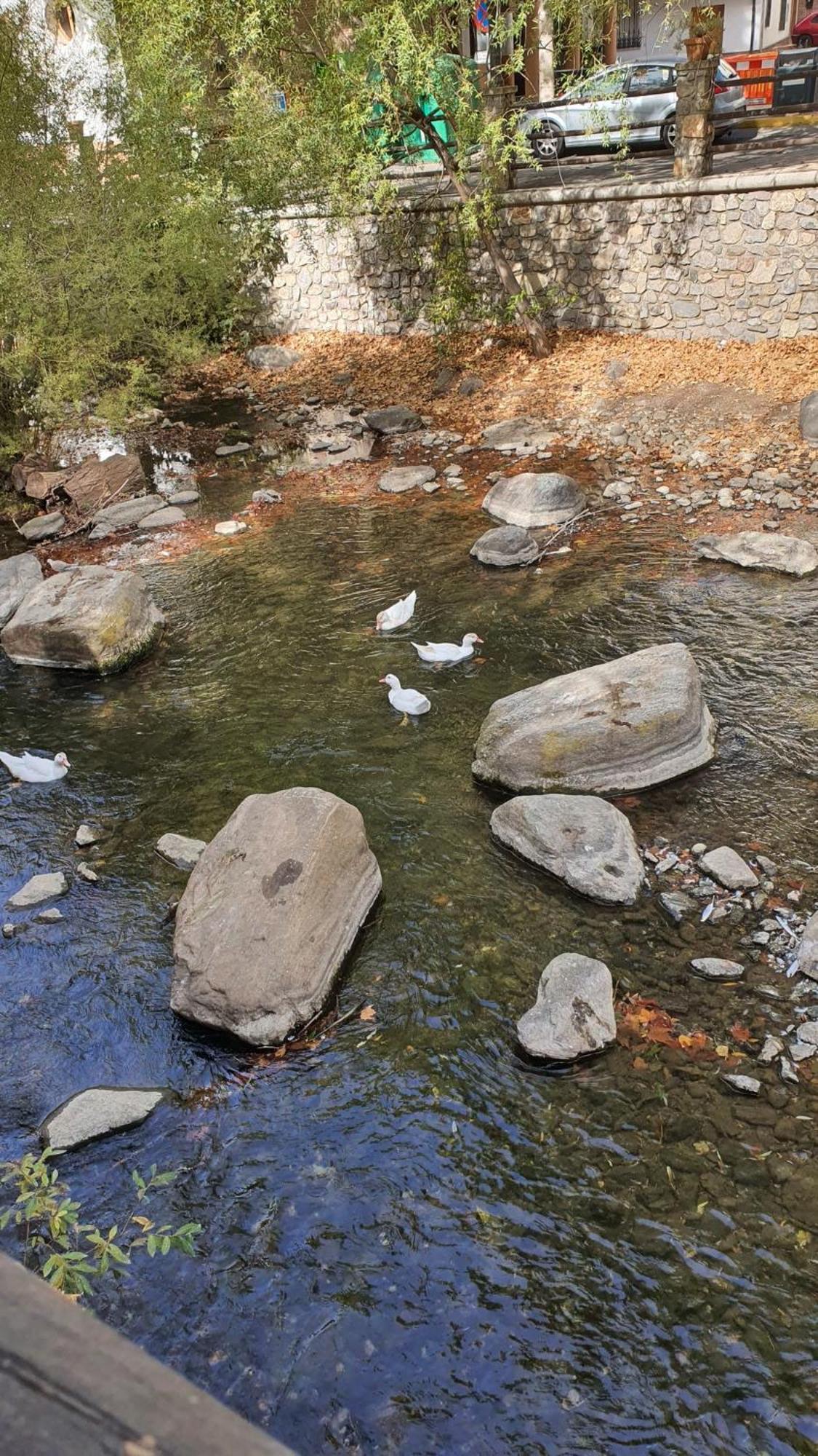 La Colina Ladyblue Apto Acogedor Cerca De Sierra Nevada Y Alhambra Cenes De La Vega Eksteriør billede